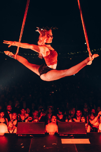 Aerial Straps