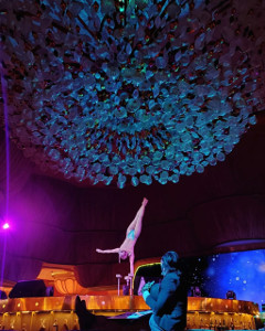 Handstand